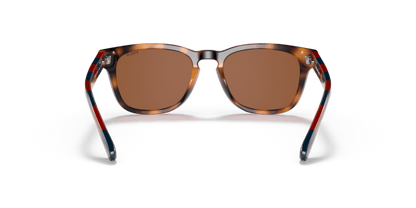 Shiny Jc Tortoise - 0PP9503 8056597558709