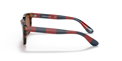 Shiny Jc Tortoise - 0PP9503 8056597558709