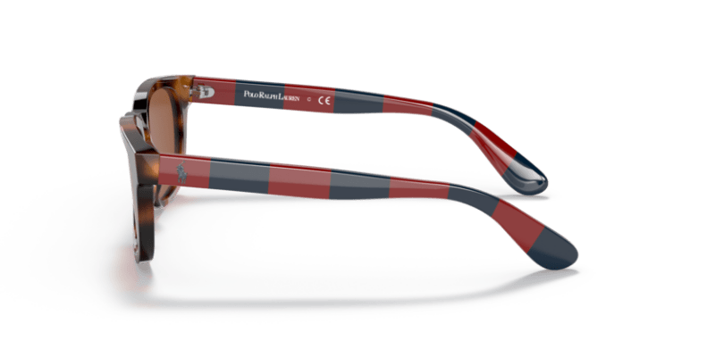 Shiny Jc Tortoise - 0PP9503 8056597558709