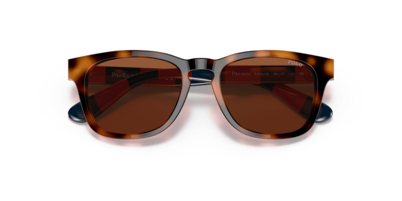 Shiny Jc Tortoise - 0PP9503 8056597558709