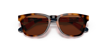 Shiny Jc Tortoise - 0PP9503 8056597558709