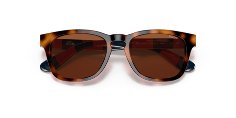 Shiny Jc Tortoise - 0PP9503 8056597558709