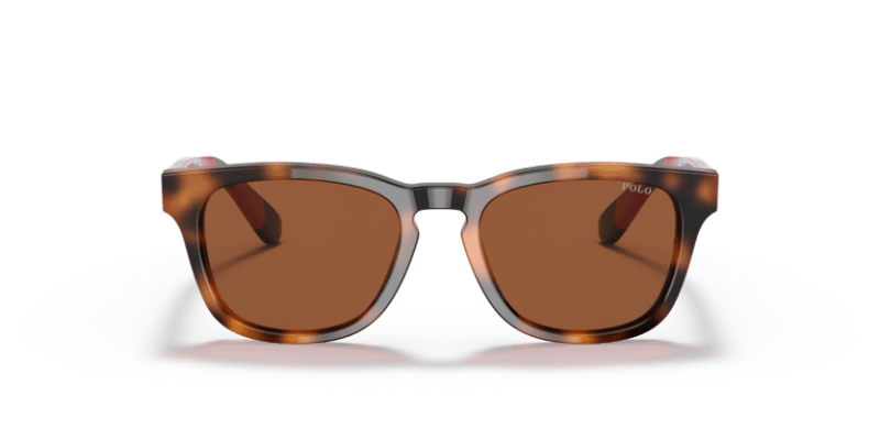 Shiny Jc Tortoise - 0PP9503 8056597558709