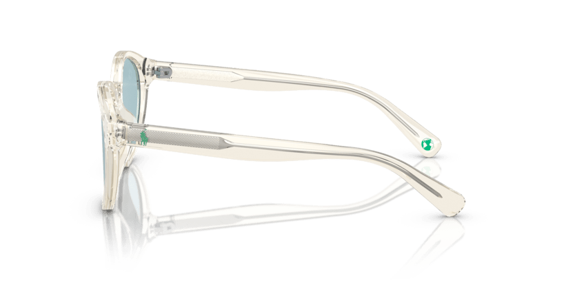 Shiny Transparent Pinot Grey - 0PP9505U 8056597831321