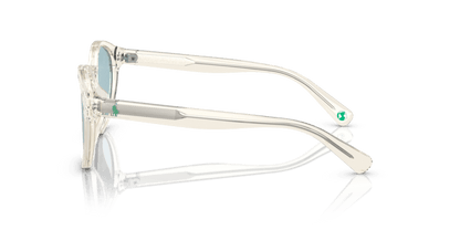 Shiny Transparent Pinot Grey - 0PP9505U 8056597831321