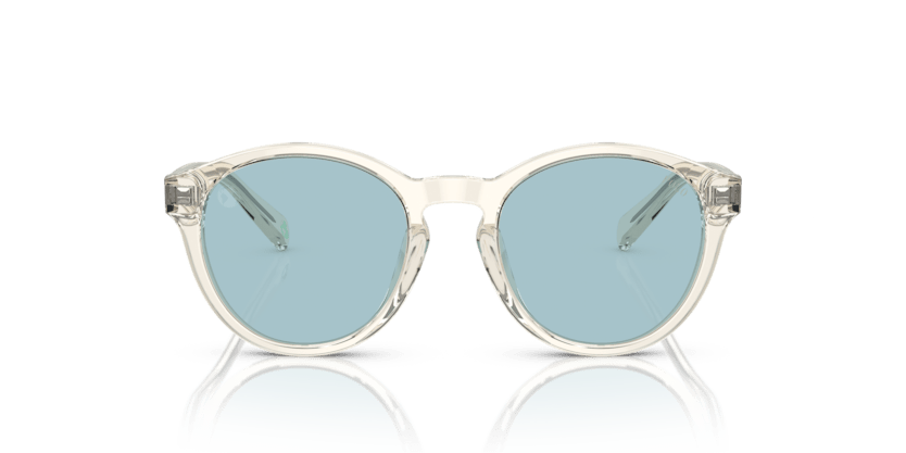 Shiny Transparent Pinot Grey - 0PP9505U 8056597831321