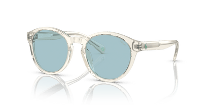 Shiny Transparent Pinot Grey - 0PP9505U 8056597831321