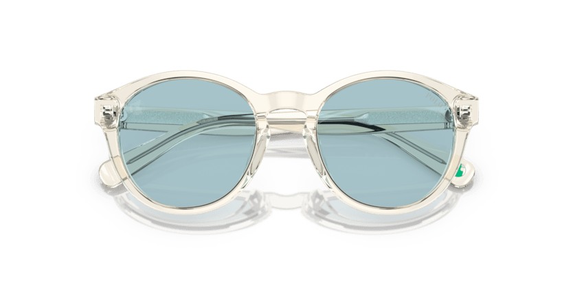 Shiny Transparent Pinot Grey - 0PP9505U 8056597831321