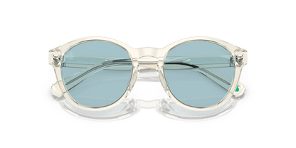 Shiny Transparent Pinot Grey - 0PP9505U 8056597831321