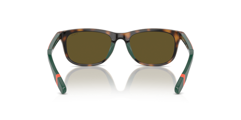 0PP9507U - Polo Prep - (Shiny Havana) Olive Green - 49 - 16 - 130 MM - Ardor Eyewear 8056262038437