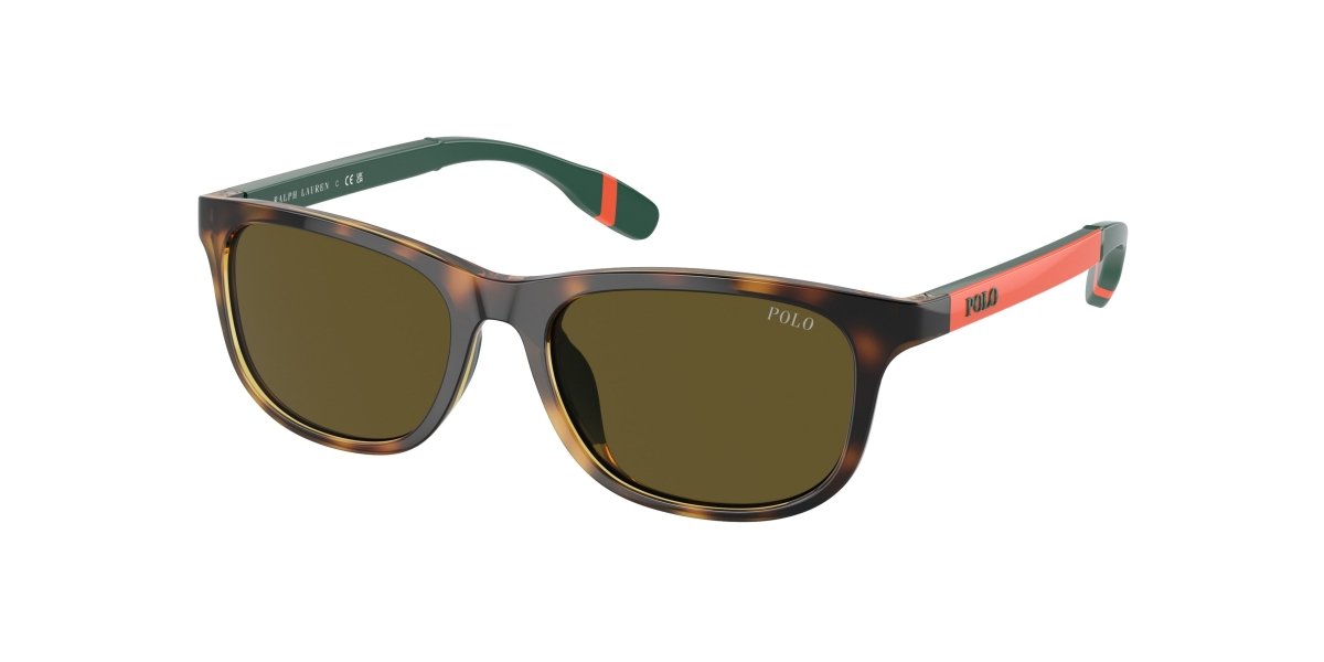 0PP9507U - Polo Prep - (Shiny Havana) Olive Green - 49 - 16 - 130 MM - Ardor Eyewear 8056262038437