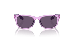 0PP9507U - Polo Prep - (Shiny Transparent Lilac) Violet - 49 - 16 - 130 MM - Ardor Eyewear 8056262038468