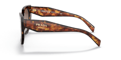 0PR 14WS - Prada - (Tortoise) Brown Gradient - 52 - 20 - 140 MM - Ardor Eyewear 8056597640695