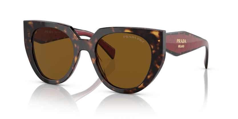 0PR 14WS - Prada - (Tortoise) Dark Brown Polar Polarized - 52 - 20 - 140 MM - Ardor Eyewear 8056597793773