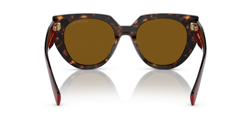 0PR 14WS - Prada - (Tortoise) Dark Brown Polar Polarized - 52 - 20 - 140 MM - Ardor Eyewear 8056597793773