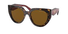 0PR 14WS - Prada - (Tortoise) Dark Brown Polar Polarized - 52 - 20 - 140 MM - Ardor Eyewear 8056597793773