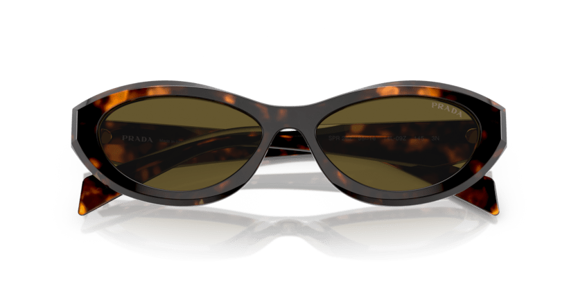 0PR 26ZS - Prada - (Sage/Honey Tortoise) Dark Brown - 55 - 16 - 145 MM - Ardor Eyewear 8056597875219