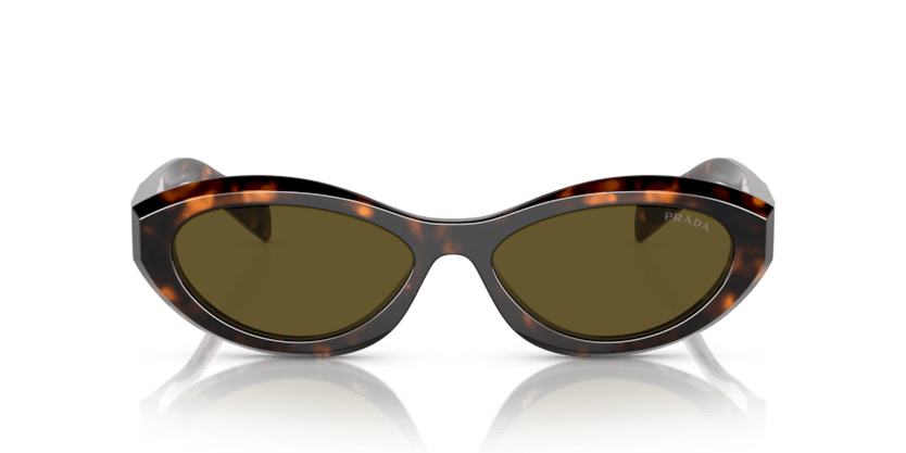 0PR 26ZS - Prada - (Sage/Honey Tortoise) Dark Brown - 55 - 16 - 145 MM - Ardor Eyewear 8056597875219