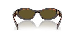 0PR 26ZS - Prada - (Sage/Honey Tortoise) Dark Brown - 55 - 16 - 145 MM - Ardor Eyewear 8056597875219