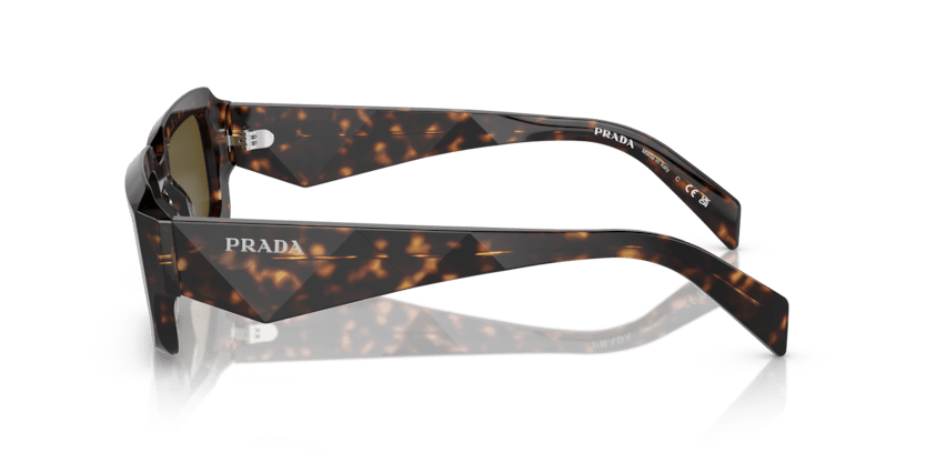 0PR 27ZS - Prada - (Loden/Black) Dark Brown - 54 - 21 - 145 MM - Ardor Eyewear 8056597875363