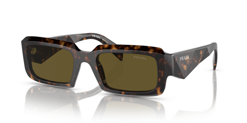 0PR 27ZS - Prada - (Loden/Black) Dark Brown - 54 - 21 - 145 MM - Ardor Eyewear 8056597875363