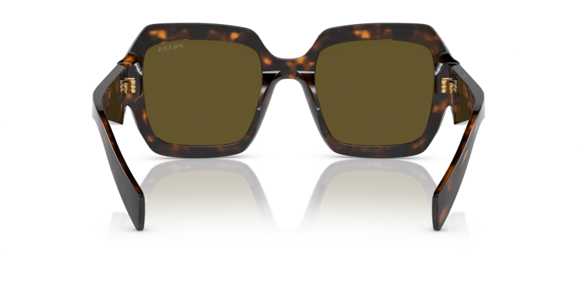 0PR 28ZS - Prada - (Sage/Honey Tortoise) Dark Brown - 53 - 22 - 145 MM - Ardor Eyewear 8056597875486