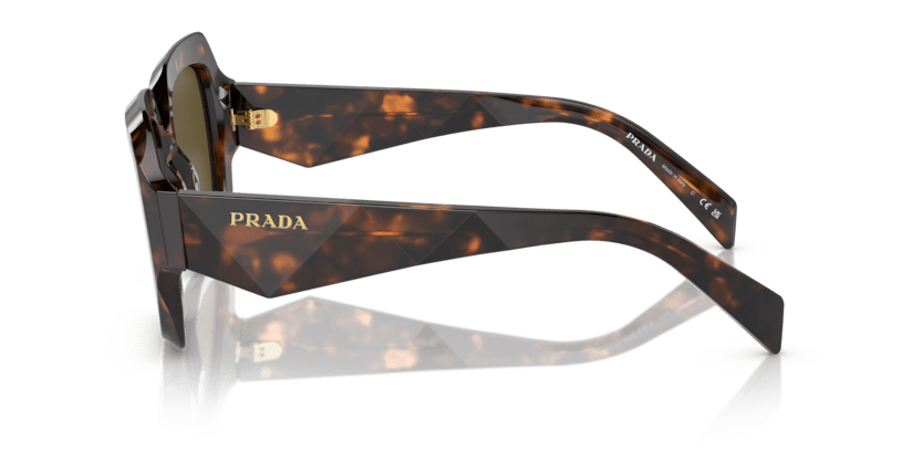 0PR 28ZS - Prada - (Sage/Honey Tortoise) Dark Brown - 53 - 22 - 145 MM - Ardor Eyewear 8056597875486