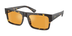 0PR A10S - Prada - (Havana Black/Yellow) Yellow Polar Polarized - 57 - 19 - 150 MM - Ardor Eyewear 8056597971010