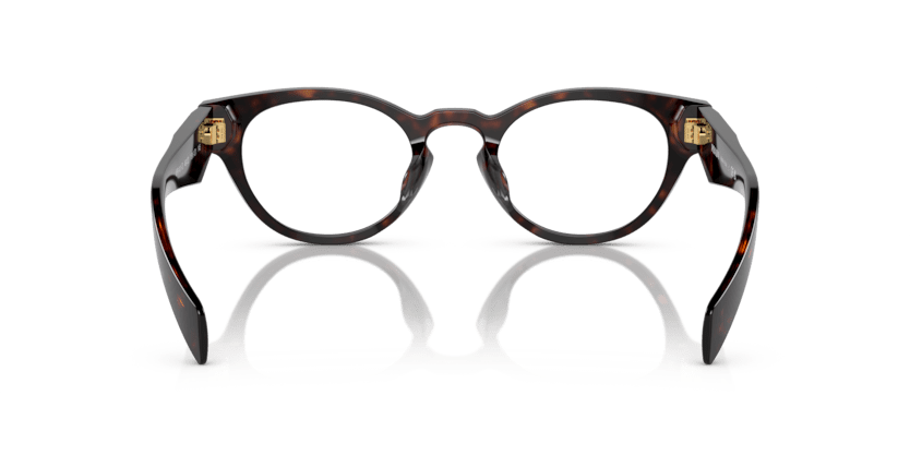 0PR A11VD - Prada - Brown - (Briar Tortoise 16N1O1) - 49 - 22 - 145 MM - Ardor Eyewear 8056597974851