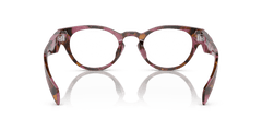 0PR A11VD - Prada - Brown - (Cognac Begonia Tortoise 18N1O1) - 49 - 22 - 145 MM - Ardor Eyewear 8056597974868