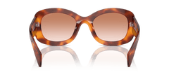 0PR A13S - Prada - (Cognac Tortoise) Cognac Sfumato Ninfea - 54 - 23 - 145 MM - Ardor Eyewear 8056262080283