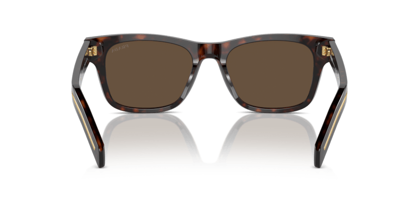 0PR A17S - Prada - (Radica Tortoise) Dark Brown - 51 - 19 - 145 MM - Ardor Eyewear 8056262134665