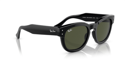 Black - 0RB0298S 8056597936125