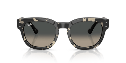 Grey Havana - 0RB0298S 8056262475119