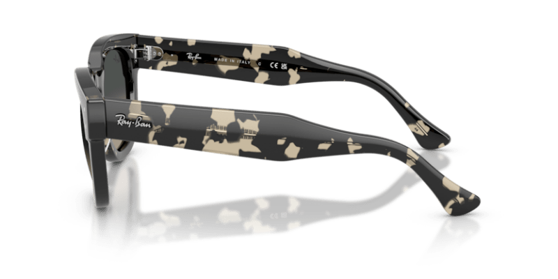 Grey Havana - 0RB0298S 8056262475119