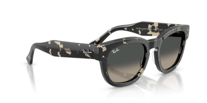 Grey Havana - 0RB0298S 8056262475119