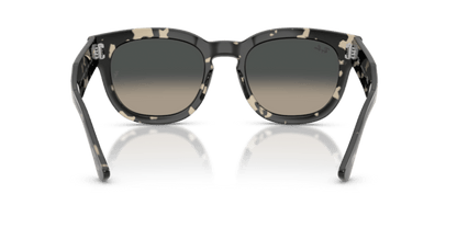 Grey Havana - 0RB0298S 8056262475119