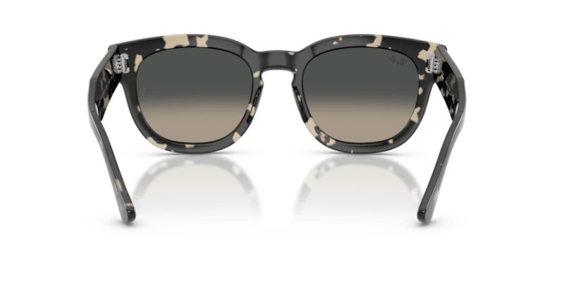 Grey Havana - 0RB0298S 8056262475119