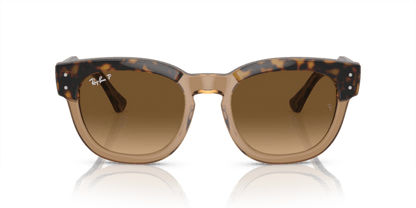 Havana On Transparent Brown - 0RB0298S 8056597936088