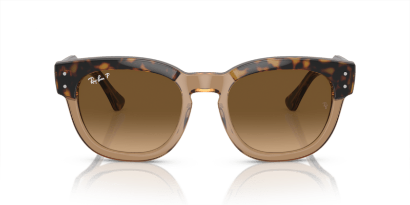 Havana On Transparent Brown - 0RB0298S 8056597936088