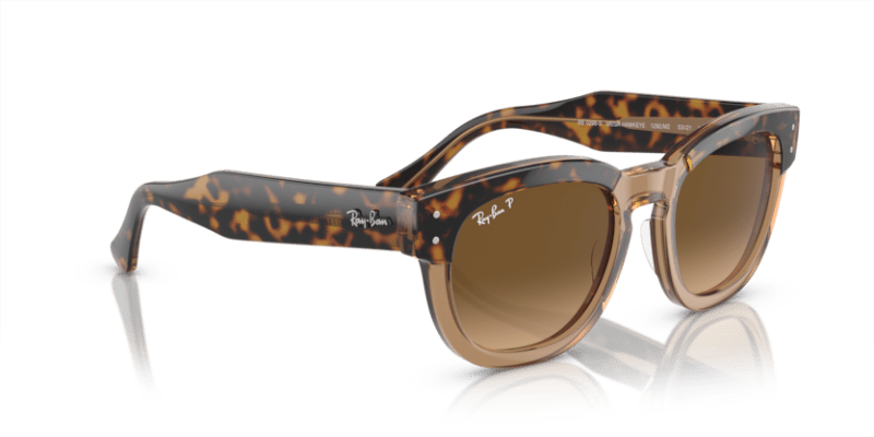 Havana On Transparent Brown - 0RB0298S 8056597936088