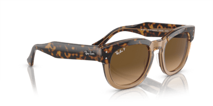 Havana On Transparent Brown - 0RB0298S 8056597936088