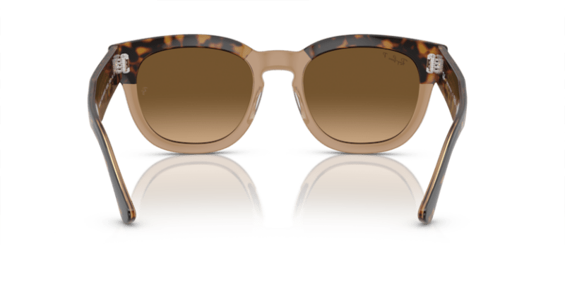 Havana On Transparent Brown - 0RB0298S 8056597936088