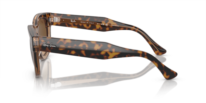 Havana On Transparent Brown - 0RB0298S 8056597936088