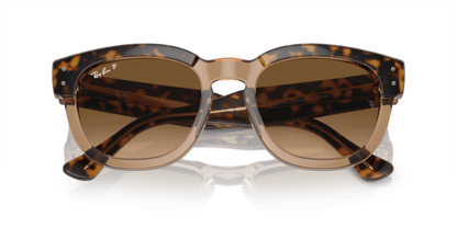 Havana On Transparent Brown - 0RB0298S 8056597936088