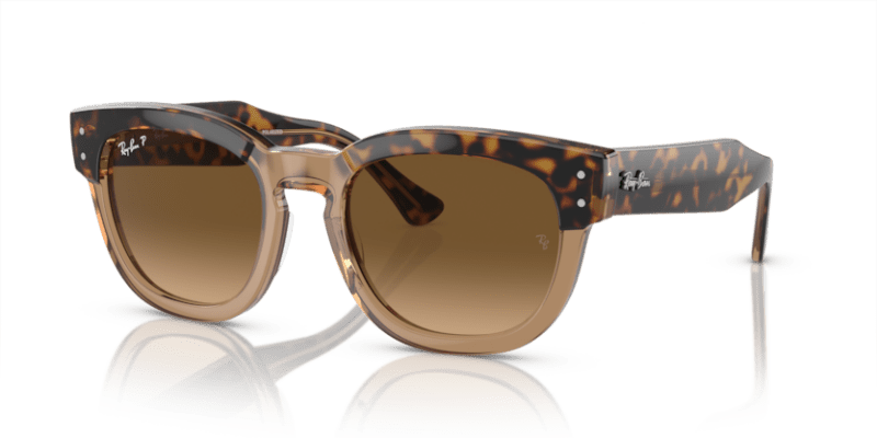 Havana On Transparent Brown - 0RB0298S 8056597936088