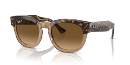 Havana On Transparent Brown - 0RB0298S 8056597936088