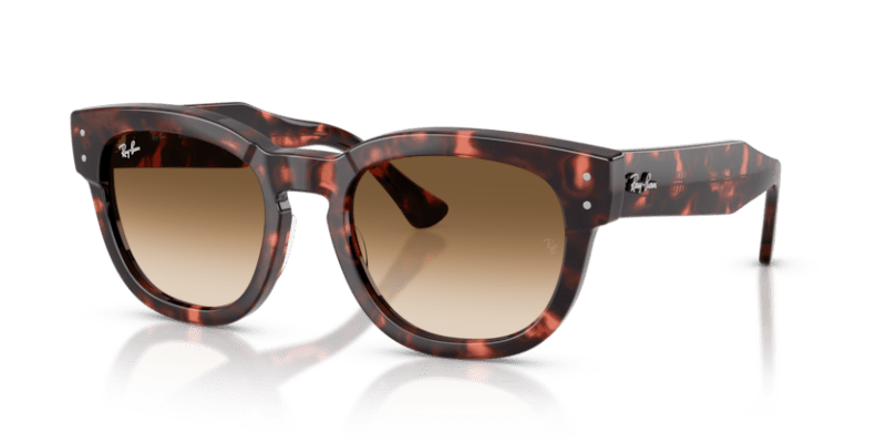 Pink Havana - 0RB0298S 8056262475126