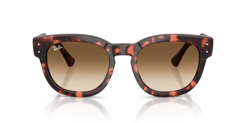 Pink Havana - 0RB0298S 8056262475126