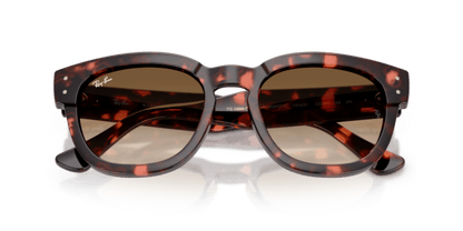 Pink Havana - 0RB0298S 8056262475126